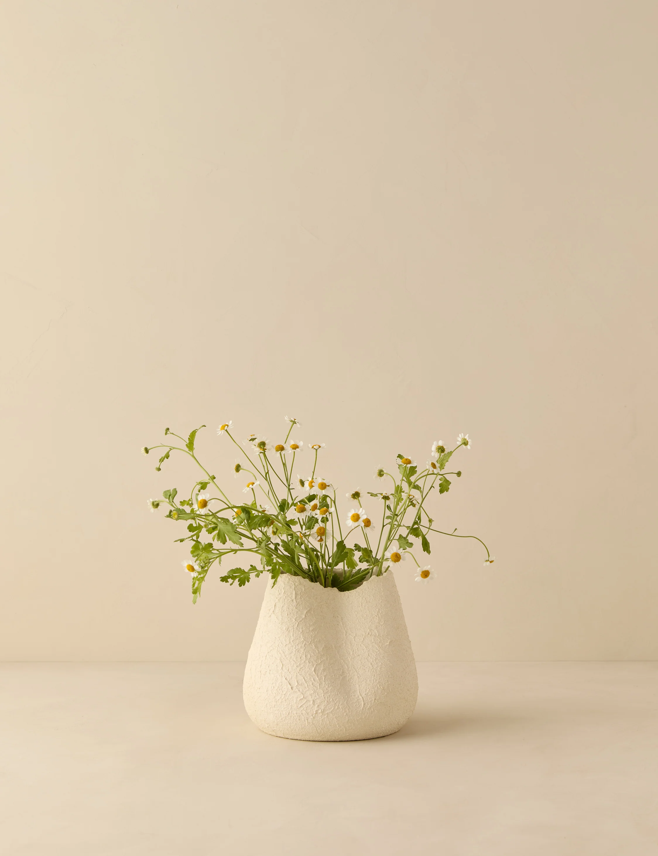 Décor + Tabletop